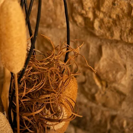 Holiday home Salamiou Stone House Paphos